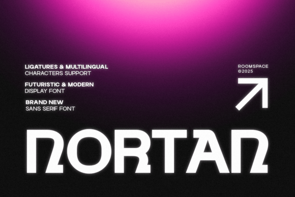 Nortan: The Sleek Display Typeface for Modern Brand Identity